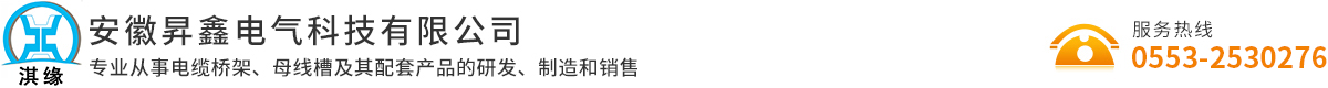 安徽昇鑫電氣科技有限公司 